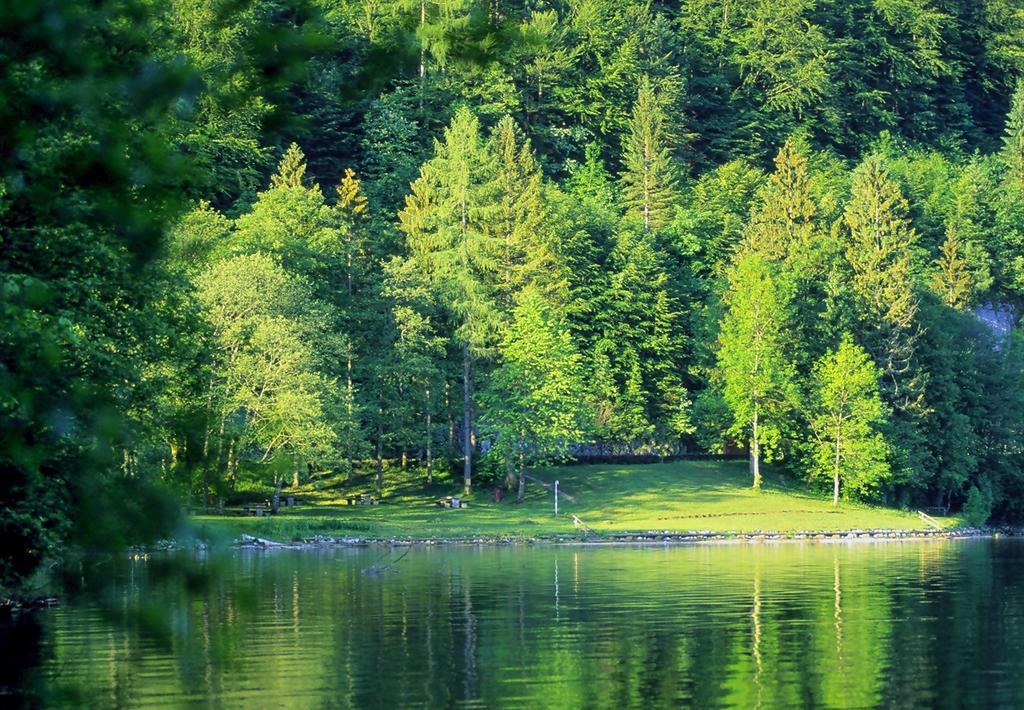Park Am See Обертраун Екстериор снимка
