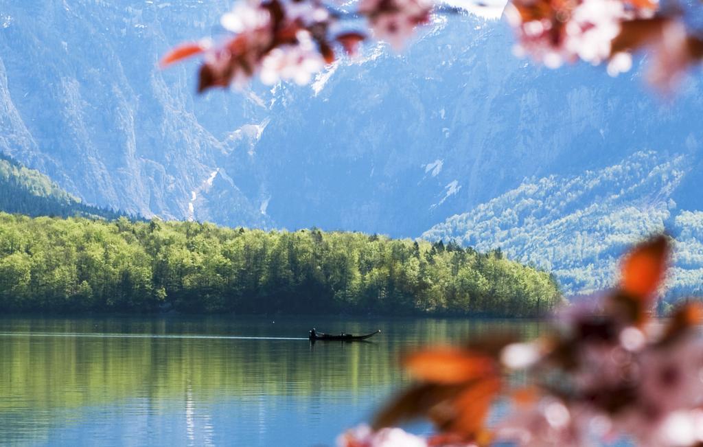 Park Am See Обертраун Екстериор снимка